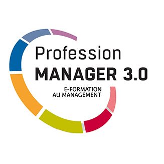 Profession Manager 3